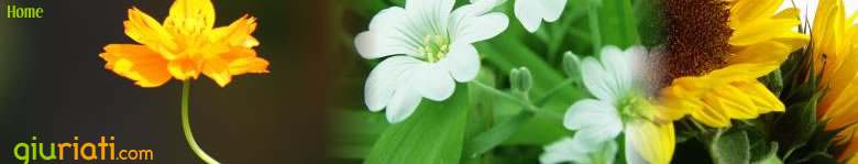 Giuriati.com Gardening, flowers, vegitable and herb growing guide.